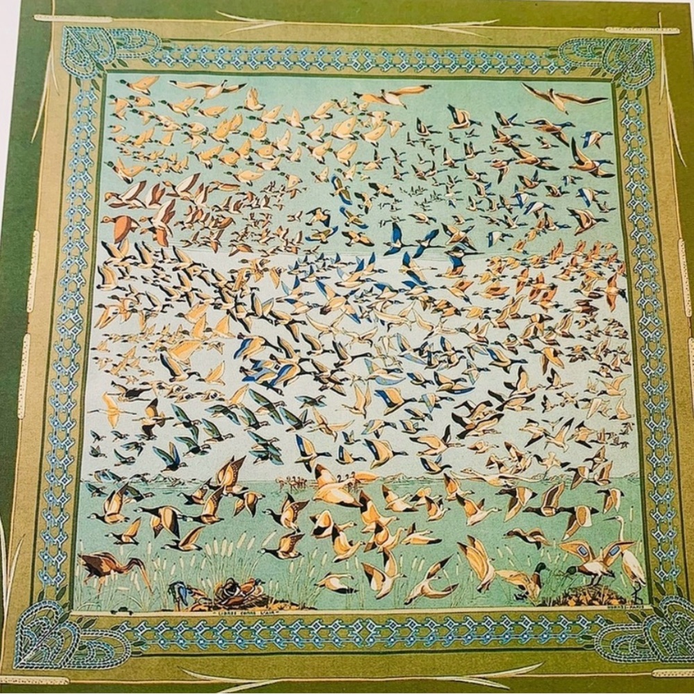 Hermes Silk Scarf- Duck Print